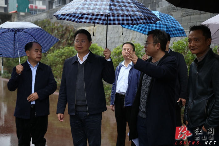 10月31日,龙山县委书记刘冬生来到城区调研城市建设,副县长张肇琴参加
