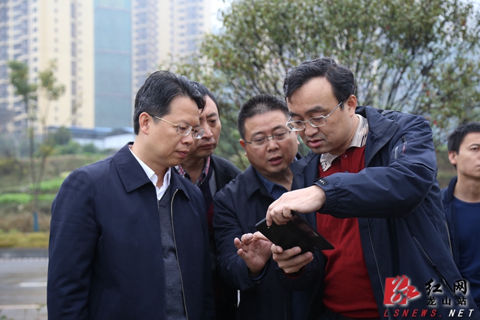 10月31日,龙山县委书记刘冬生来到城区调研城市建设,副县长张肇琴参加