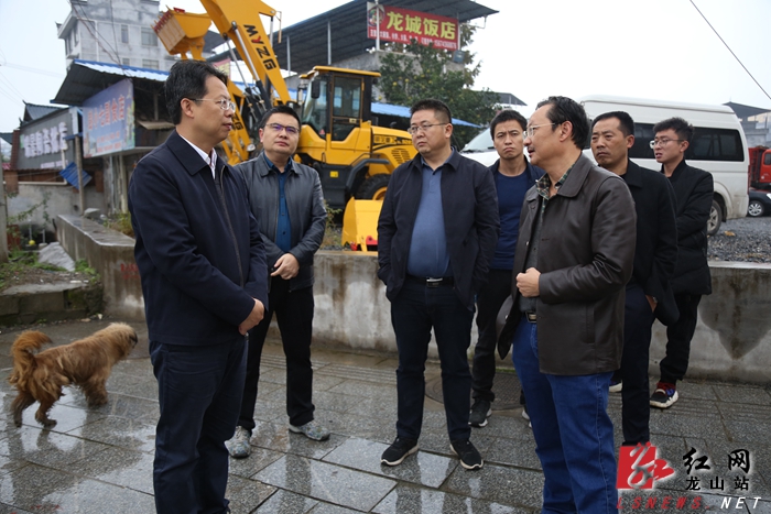 10月31日,龙山县委书记刘冬生来到城区调研城市建设,副县长张肇琴参加