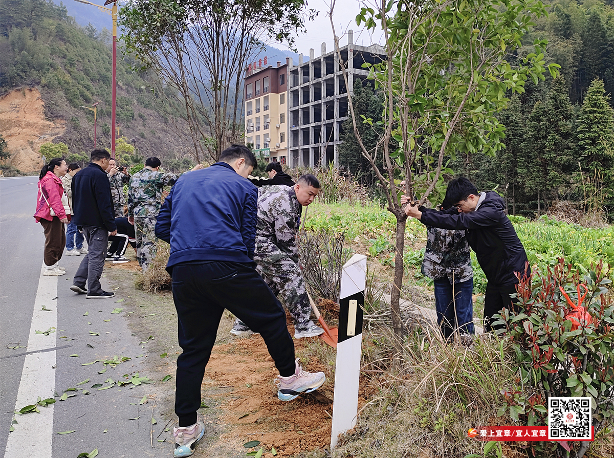 莽山瑶族乡共建齐心林_正本.jpg