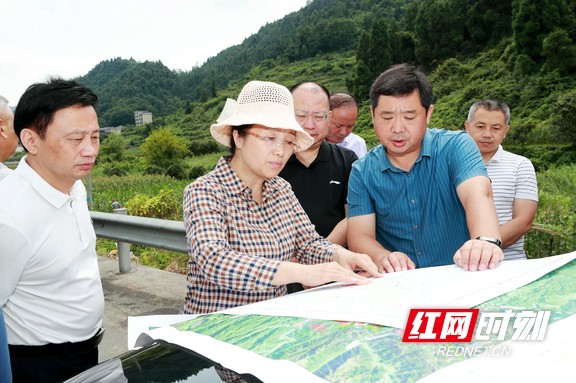 到石家冲街道曙光村现场踏勘.