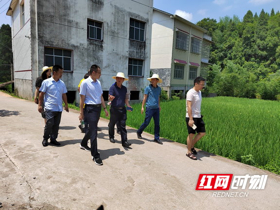 "把脉开方"助力乡村振兴—湖南专家团考察指导泸溪县石榴坪乡旅游