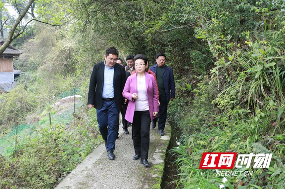 湘西州委副书记,州长龙晓华带领州直相关部门负责人到永顺县,古丈县