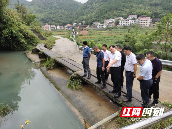 冷水江市市长曾伯怡第一时间办理省生态环境保护督察信访督办件