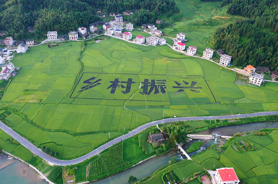 不一样的小康路丨美丽乡村看新化一村一户皆美景