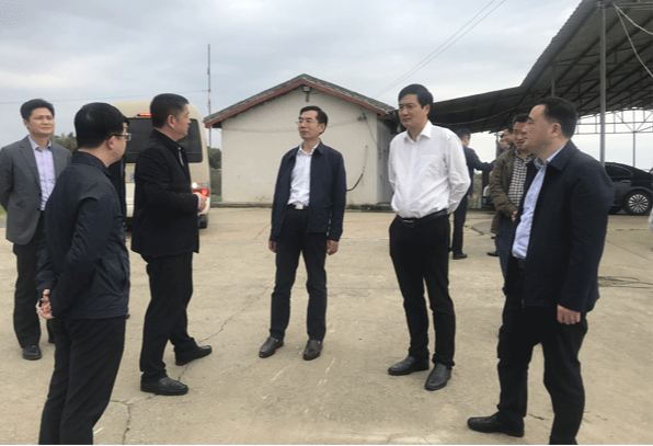 岳阳市委常委,组织部长王武赴洋溪湖开展巡湖