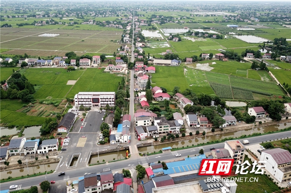 航拍记录|湖南省最早的农村党支部诞生地—益阳市金家堤村