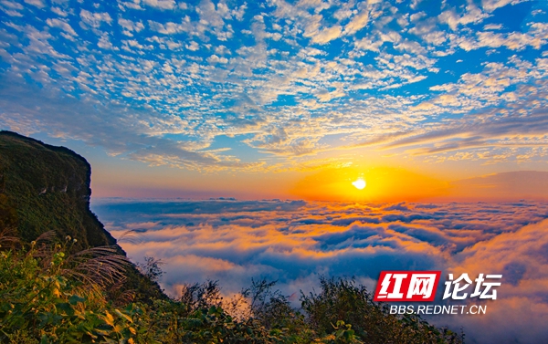 登上八面山顶,在"空中草原"上喜提一场壮观的日出