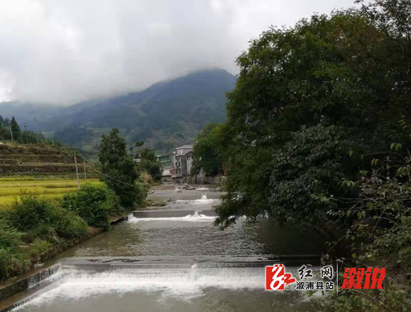 龙潭镇栗山村:创造芝麻开花节节高的幸福生活_乡镇快讯_溆浦新闻网