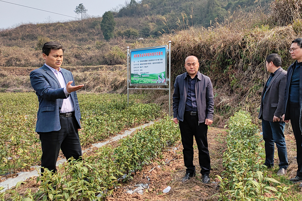 泸溪县召开全县农业特色产业现场推进会