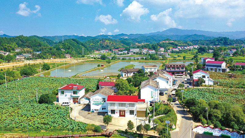 各美其美特色村 美美与共浏阳范—浏阳市美丽宜居村庄建设现场观摩