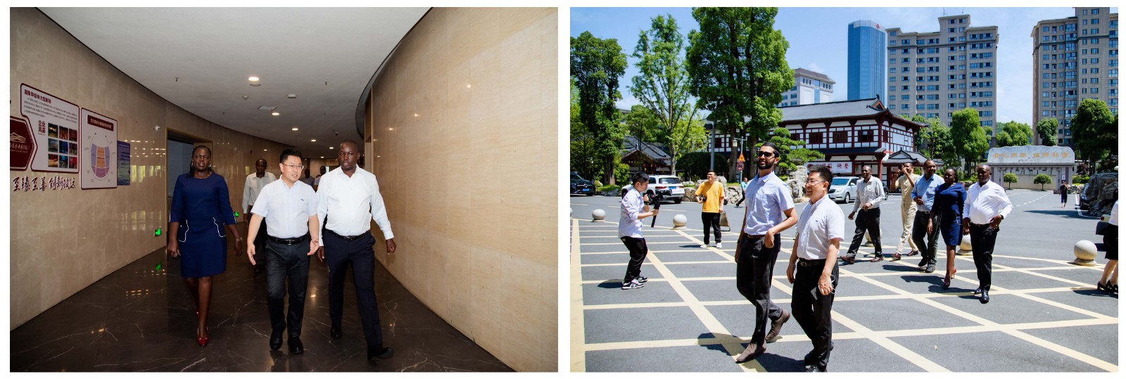 45545434.jpg 45545434.jpg