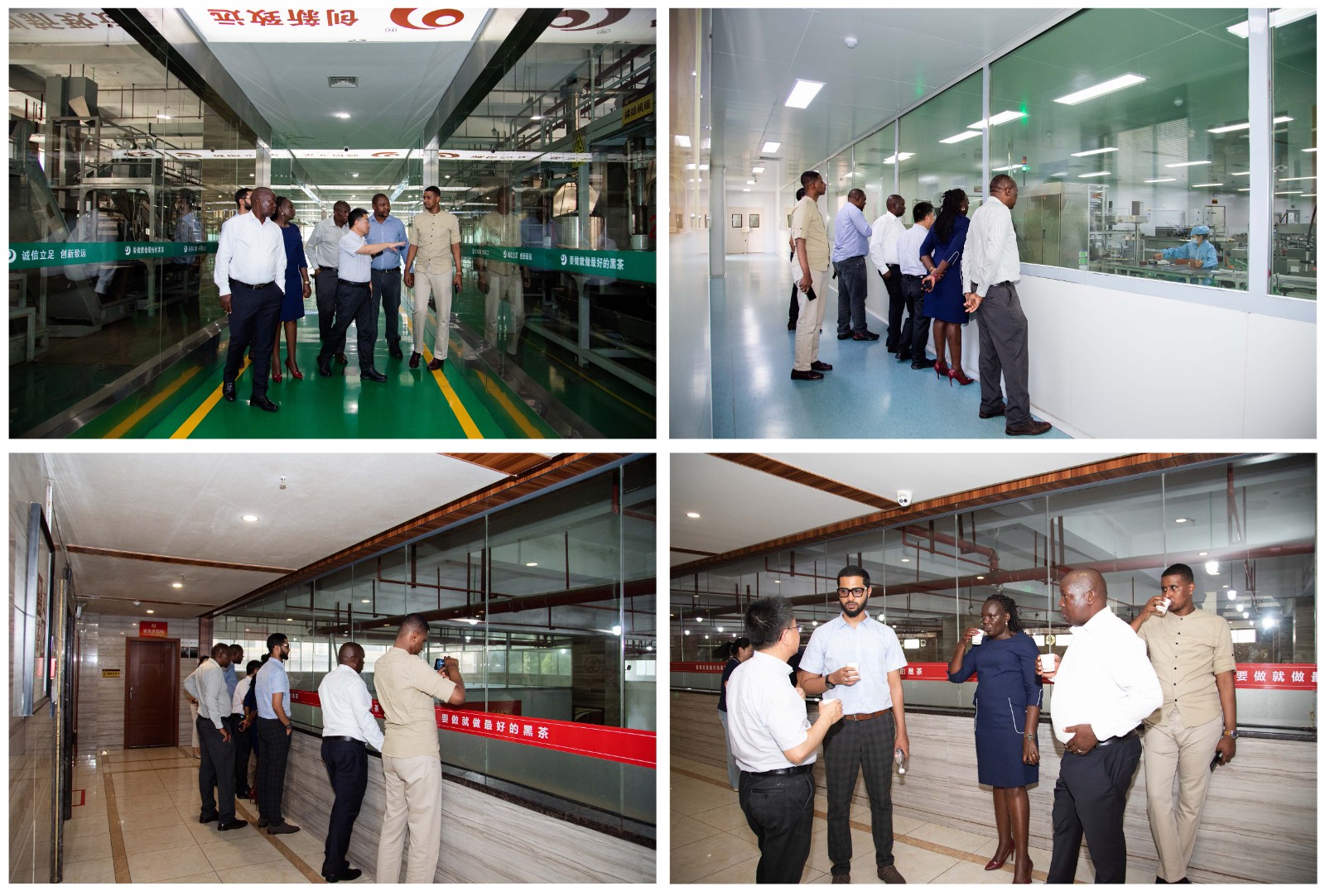 46786217841788.jpg 46786217841788.jpg