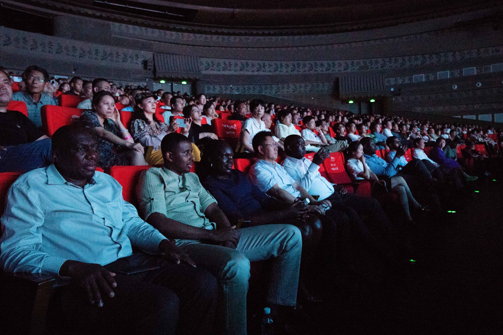 _MG_9666.jpg _MG_9666.jpg