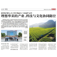 新京报丨探索黑茶国际化之路 理想华莱的产业、科技与文化协同路径