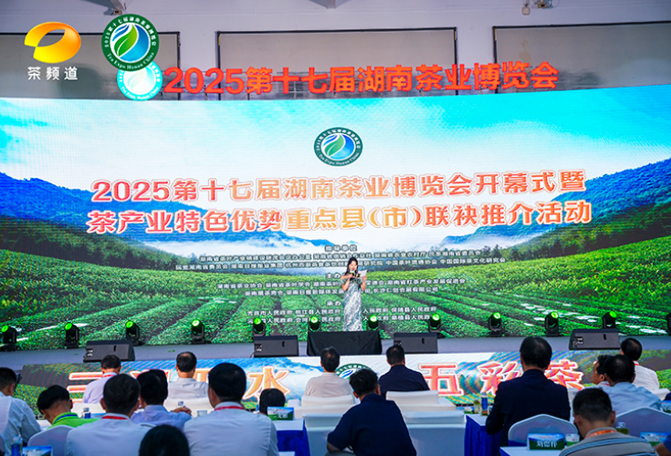 理想华莱闪耀第十七届湖南茶博会 双项荣誉彰显黑茶领军企业实力