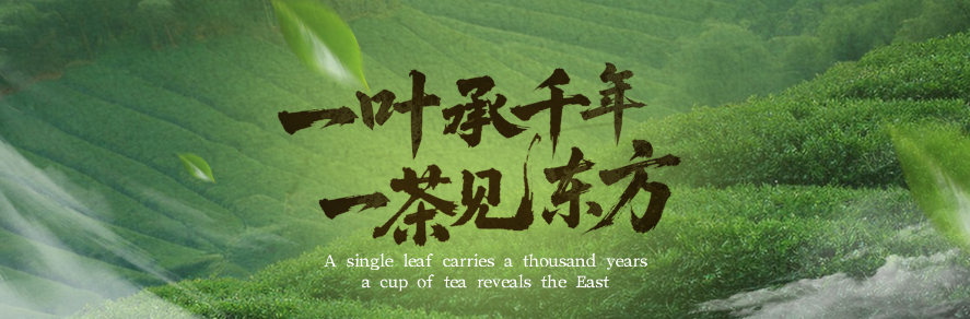 一周饮茶时光｜一叶承千年，一茶见东方