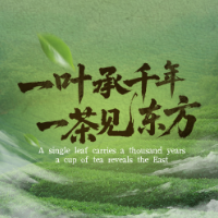 一周饮茶时光｜一叶承千年，一茶见东方