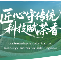 一周饮茶时光｜匠心守传统，科技赋茶香