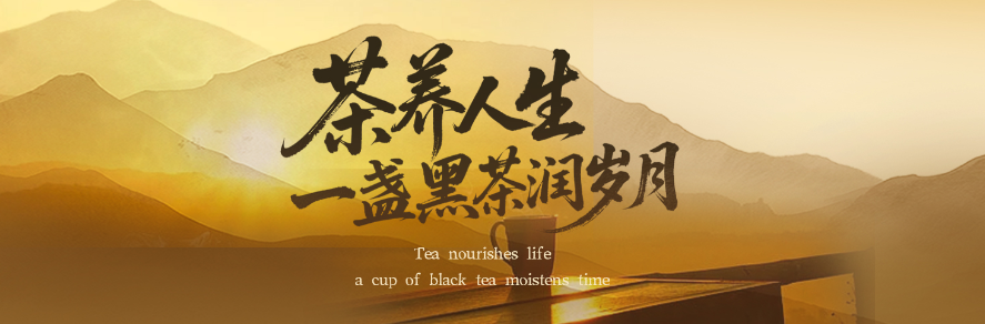 一周饮茶时光｜茶养人生，一盏黑茶润岁月