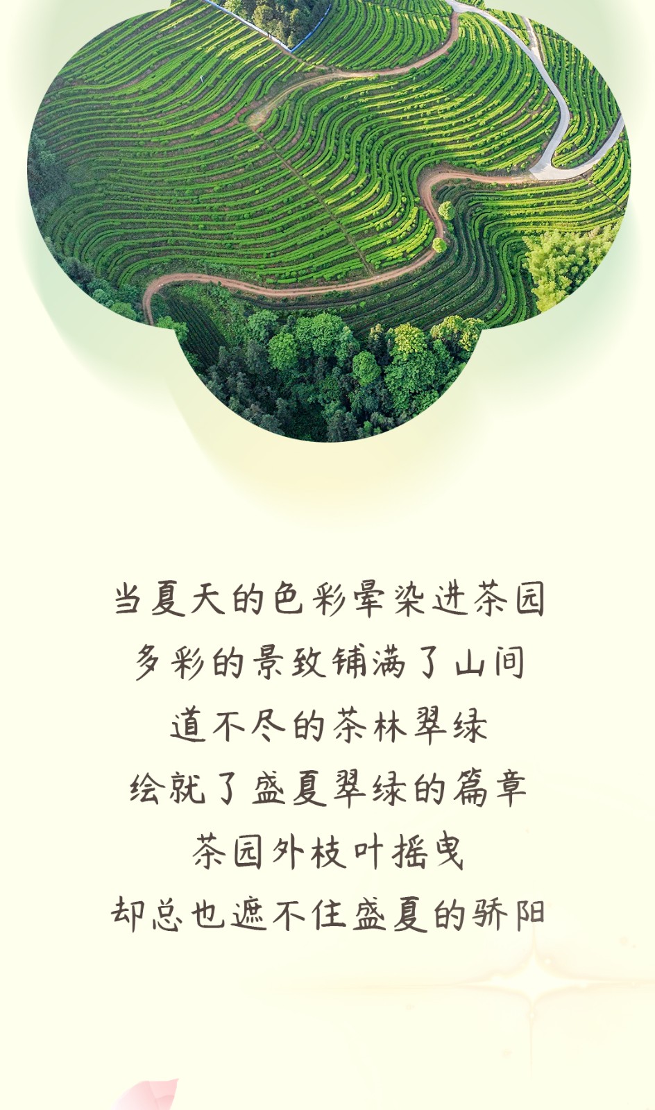 小暑_04.jpg