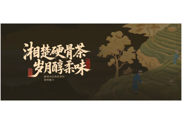 理想华莱邀您一起走进安化黑砖茶的硬核魅力