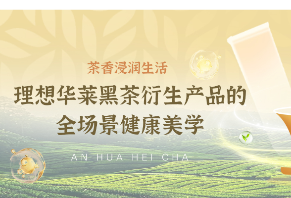 茶香浸润生活：理想华莱黑茶衍生产品的全场景健康美学
