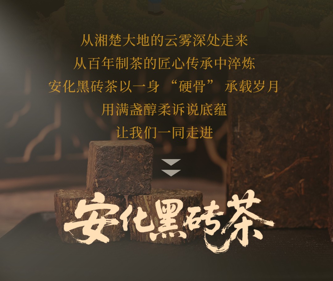 工具流产品长图-黑砖茶_02.jpg