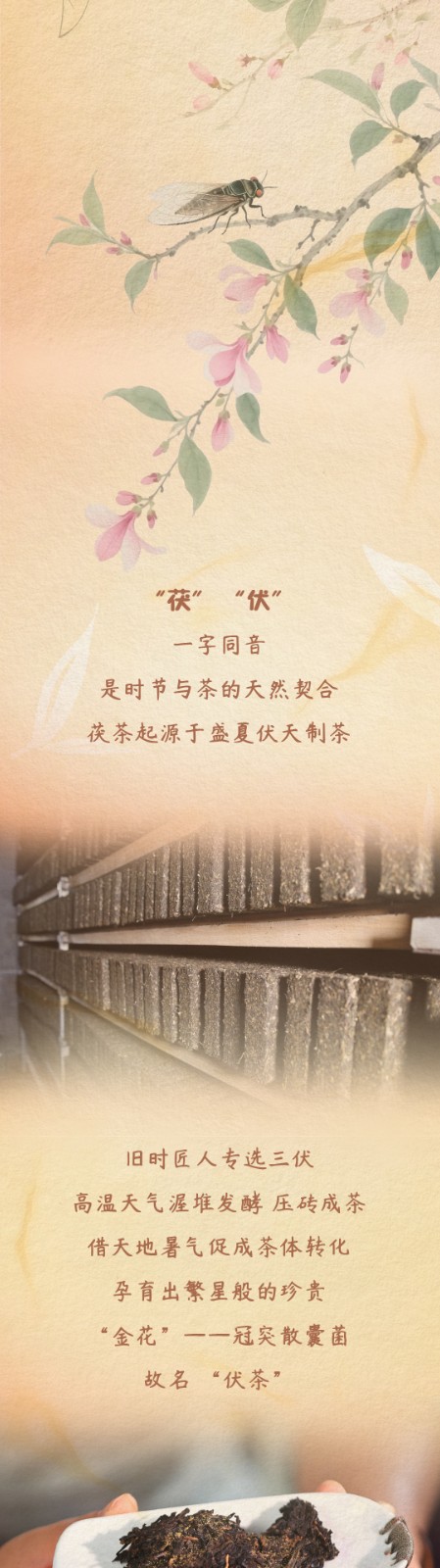 2026三伏天04_02.jpg