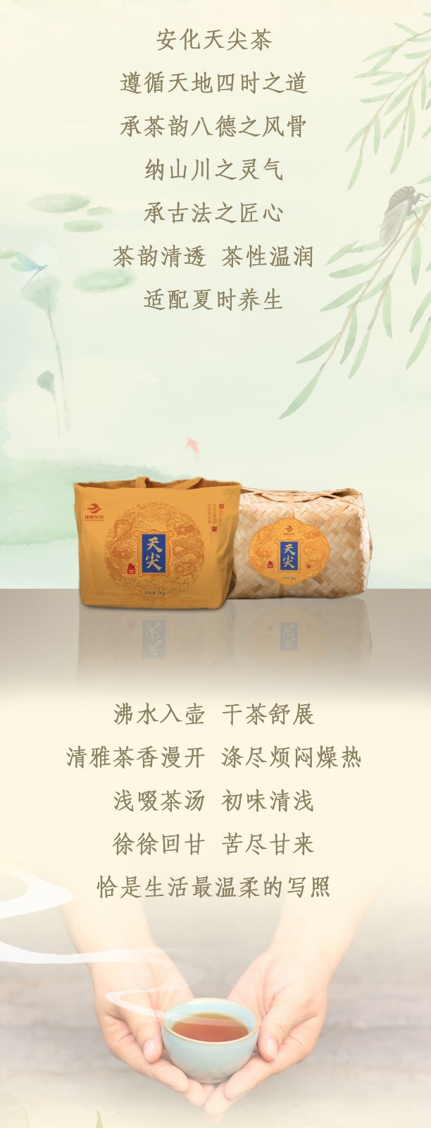 2026夏至0103.jpg