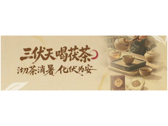 三伏天喝茯茶|沏茶消暑 化伏为安