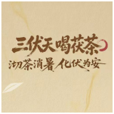 三伏天喝茯茶|沏茶消暑 化伏为安