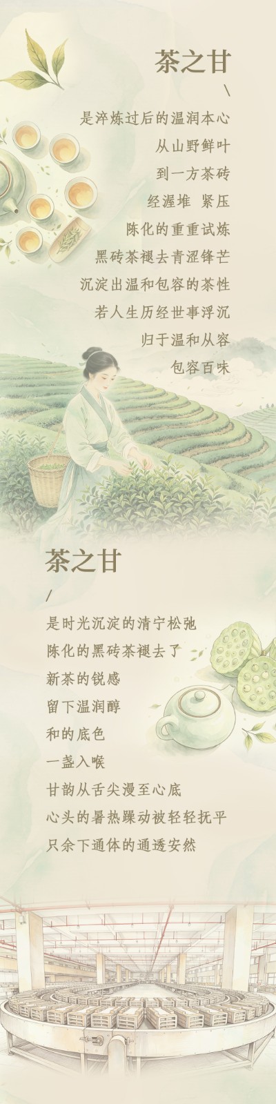 2026小暑0104.jpg