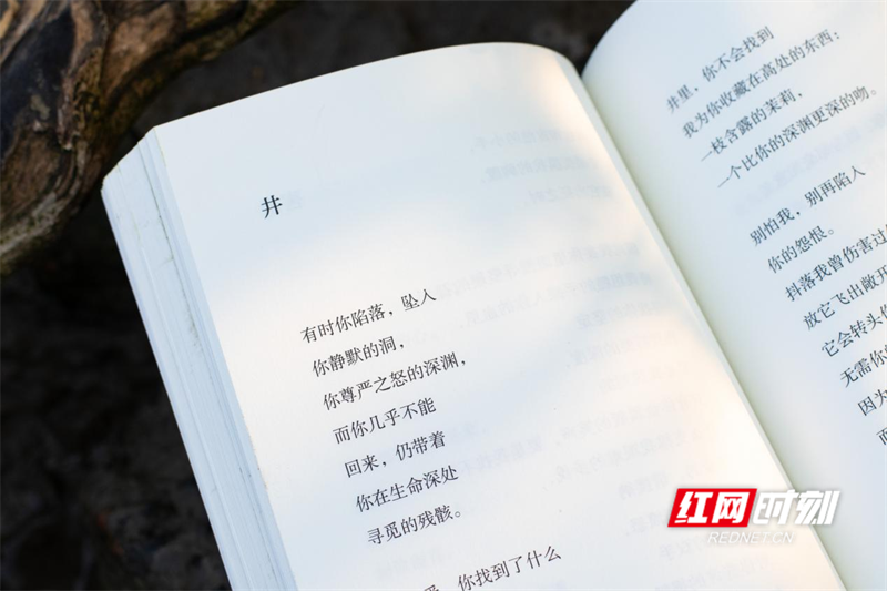 图片4_副本4.png 图片4_副本4.png