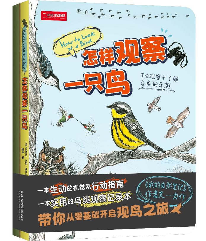 怎样观察一只鸟.jpg 怎样观察一只鸟.jpg