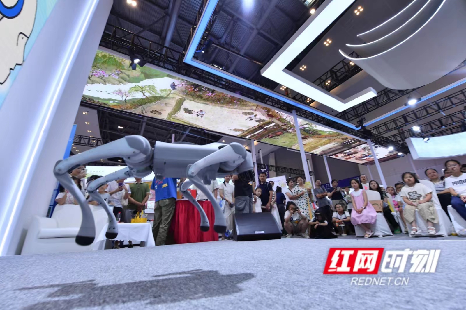 微信图片_202507271703091.jpg