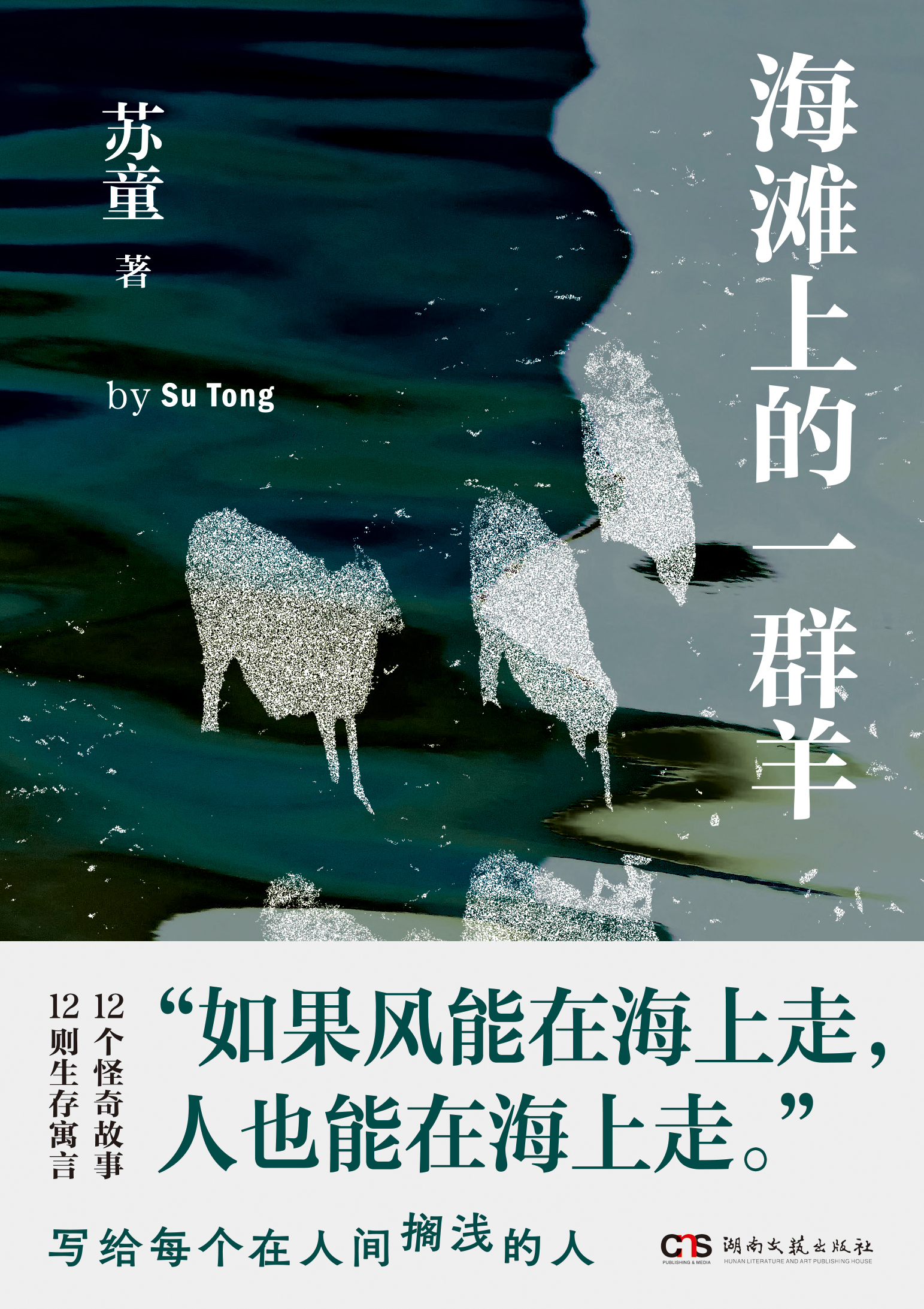 海滩上的一群羊.jpg