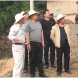所街乡：常态化督查脱贫攻坚