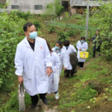 石门红医：又获赞誉！“优质服务基层行”荣登国家表彰榜