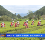 壶瓶山镇：美景文化新搭配壶瓶风光惹人醉