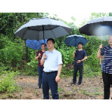 郭碧勋赴蒙泉镇督导防汛抗灾工作 