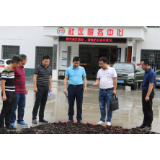 郭碧勋赴西北乡镇督导脱贫攻坚问题整改