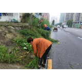 宝峰街道：开展环境卫生整治行动，扮靓村容村貌