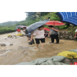 子良镇：做好防汛抗洪“加试题”