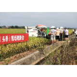 夹山镇：县农业农村局在夹山镇举办再生稻（头季）现场观摩培训会