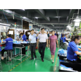 邓碧波赴工业园区开展调研