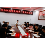 郭碧勋参加县委办机关党支部小组会议