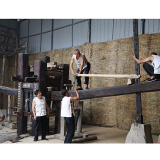 石门：千年老木榨，为油茶产业“加油”