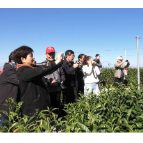 市人大常委会机关老干支部到我县摄影采风