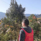 维新镇：加强森林防火，防患于未“燃”